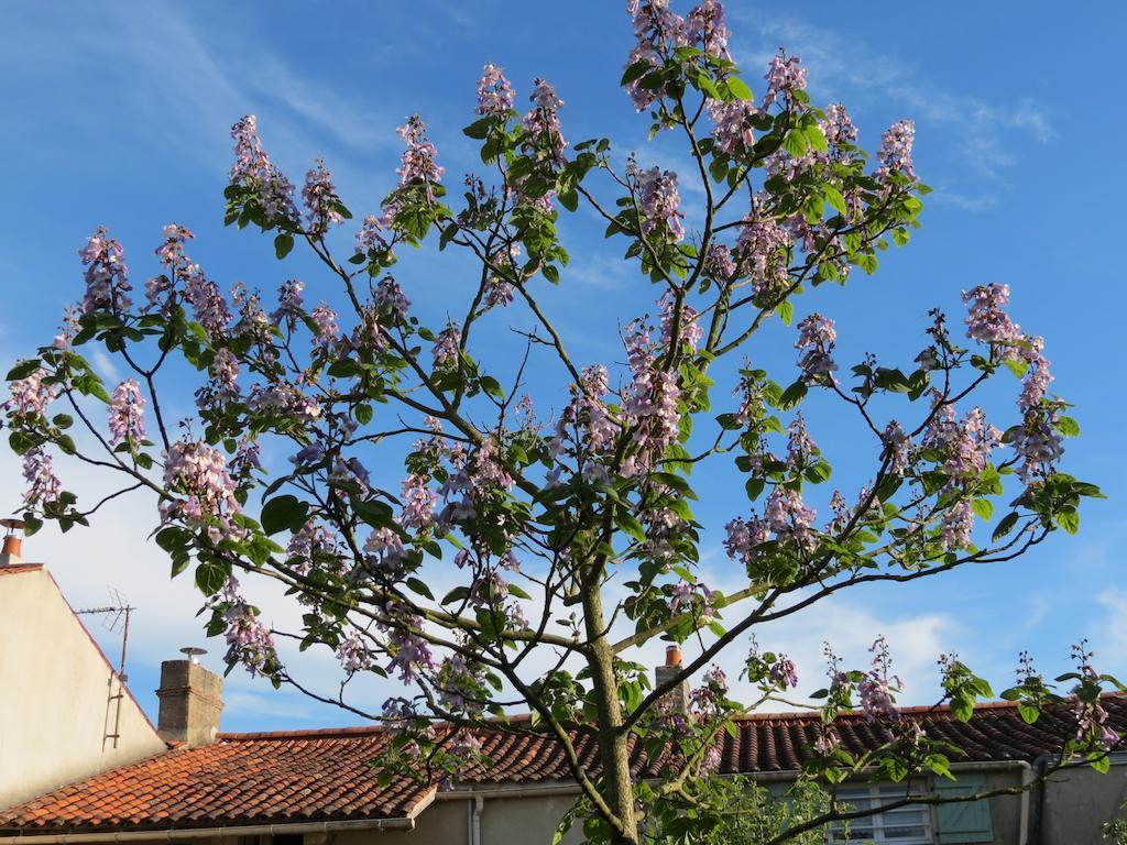 L'Aubinoise Bed & Breakfast Saint-Aubin-la-Plaine Exterior foto